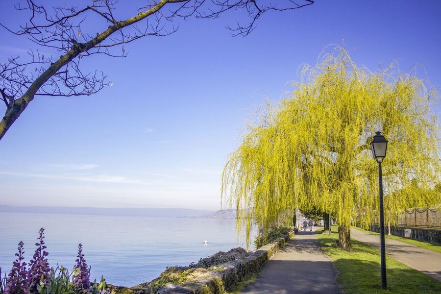 Montreux: Express Walk with a Local in 60 minutes - Starting at the Freddie Mercury Statue: the story gets personal fast