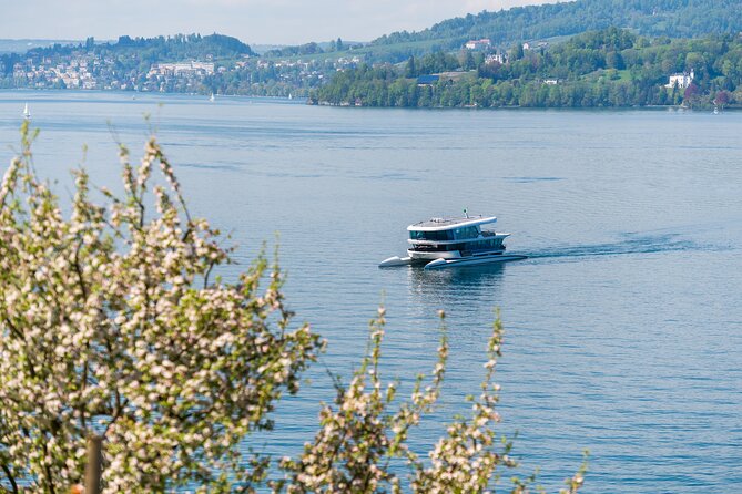 Mount Bürgenstock Independent Tour from Lucerne - The round-trip ferry on Lake Lucerne, fun until you plan the transfer