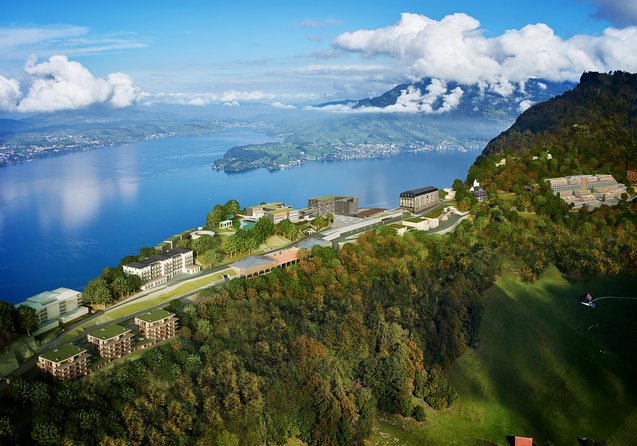 Mount Bürgenstock Independent Tour from Lucerne - Comfort on board, and why the crew gets mentioned