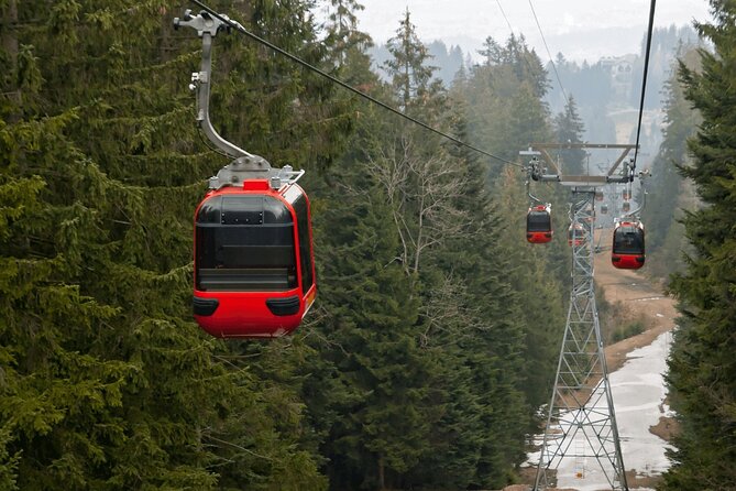 Mount Pilatus & Lucerne Private tour - Key Highlights to Know Before You Go