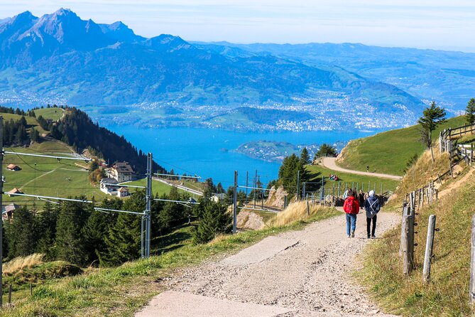 Mount Rigi: A Scenic Day Trip to the Queen of the Mountains - Cogwheel train up to Rigi Kulm: the climb you do not have to plan