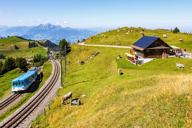 Mount Rigi: A Scenic Day Trip to the Queen of the Mountains - The short walk to Rigi Kaltbad: easy legs, big scenery moments