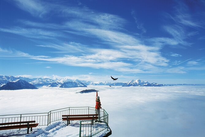 Mount Rigi Day Ticket - The Weggis to Rigi Kaltbad side, and the cable car ride down