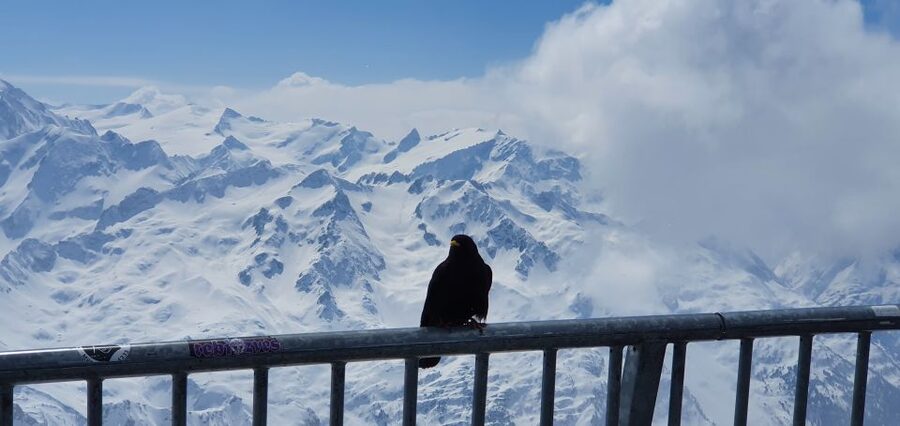 Mount Titlis Glacier World Private Day Trip from Basel - Who should book this Titlis day trip from Basel