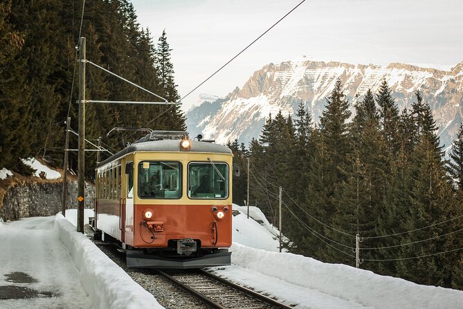 Mountain Majesty: Small Group Tour to Lauterbrunnen and Mürren - Price, tickets included, and when it really makes sense