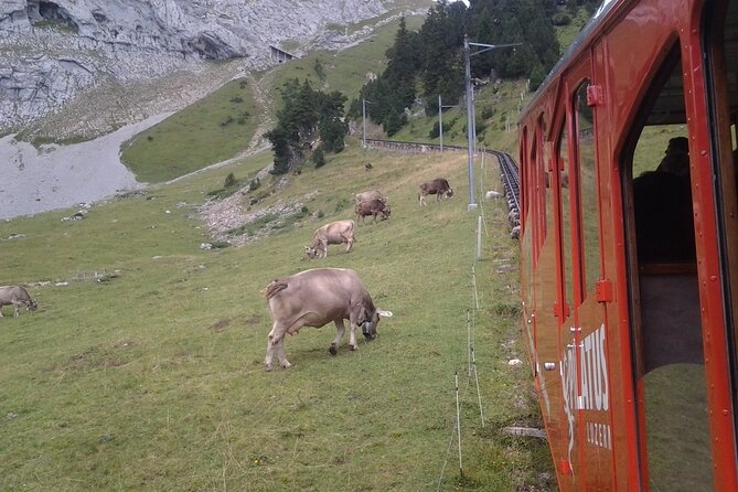 Mt. Pilatus Golden Roundtrip Small Group Day Trip from Lucerne - Price and value: is it worth $499.41 per person?
