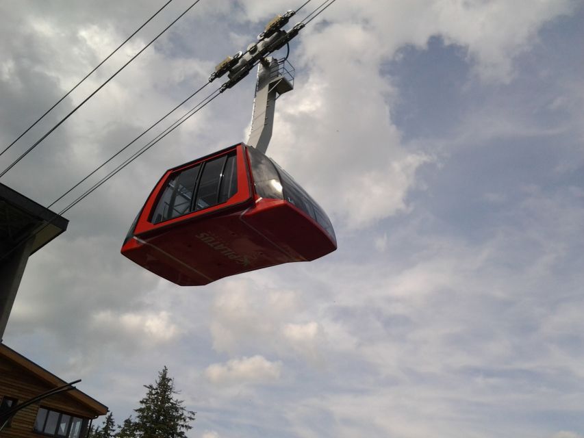Mt.Pilatus Golden Roundtrip Small Group Day Trip from Luzern - Dragon Ride cable car down via big windows and changing views