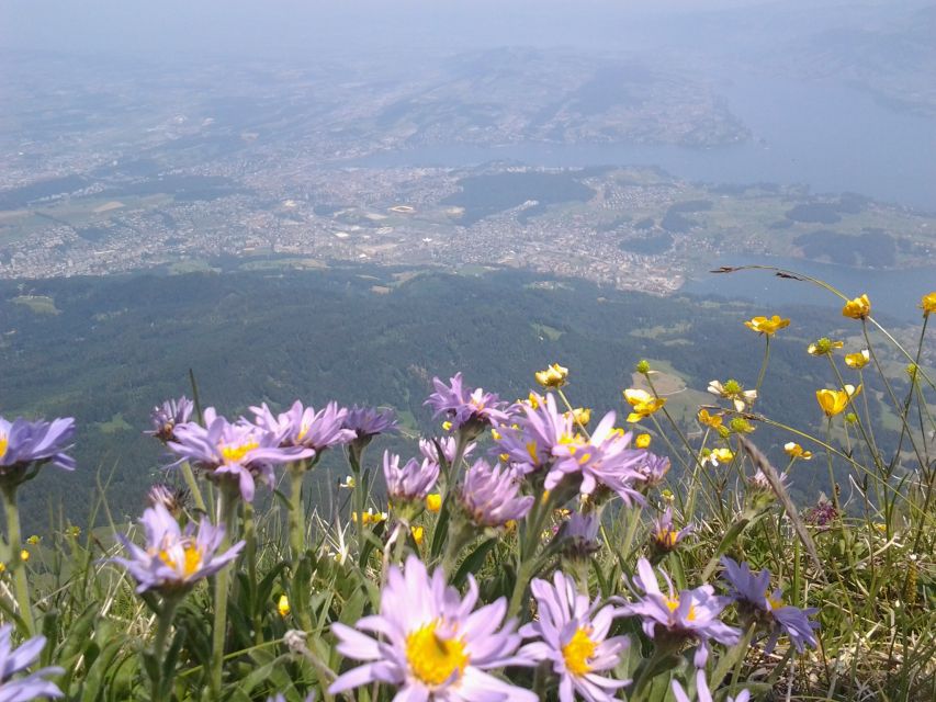Mt.Pilatus Golden Roundtrip Small Group Day Trip from Luzern - November to May: cableway access and a Lucerne lake cruise swap