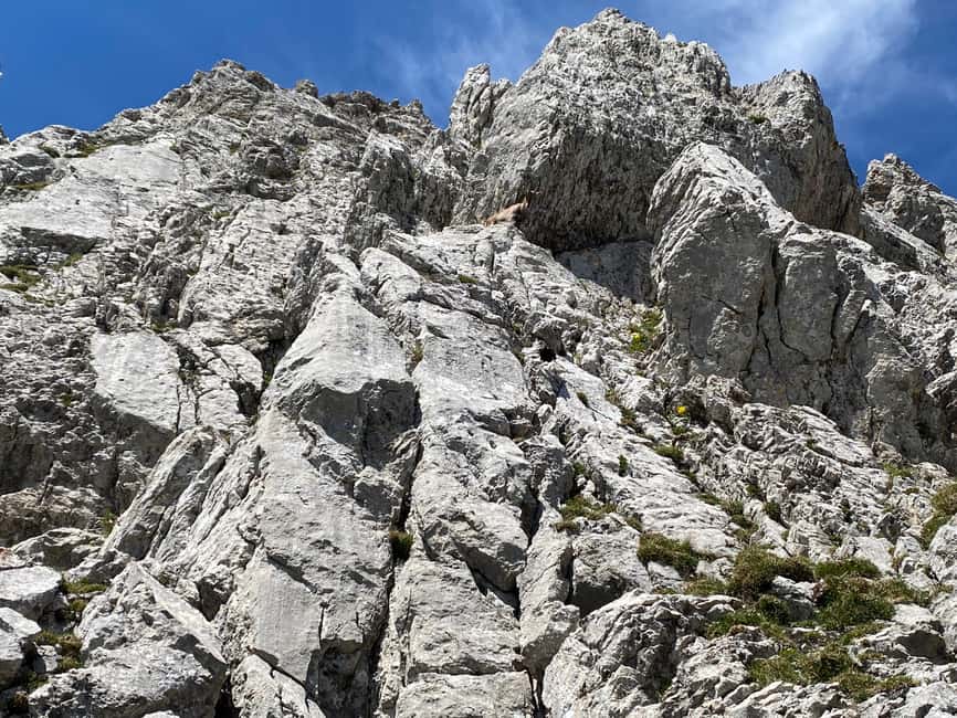 Mt. Pilatus & Lake Lucerne Small Group Tour | From Lucerne - Who this tour suits best (and who may want a different option)