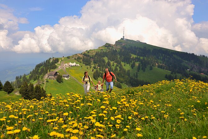 Mt Rigi and Lucerne Day Trip from Zurich With Boat Ride - A Day That Combines Big Transport, Real Free Time, and Real Views