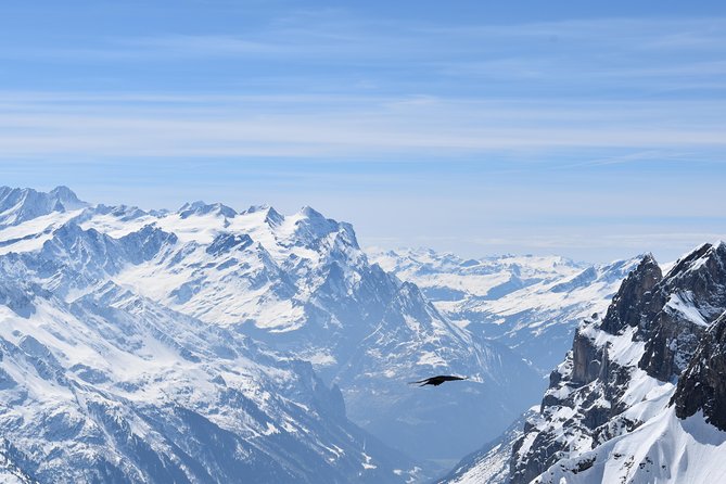 Mt. Titlis First Time Ski Experience from Zurich - Zurich to Mt. Titlis: the comfort-first ride that sets up your whole day