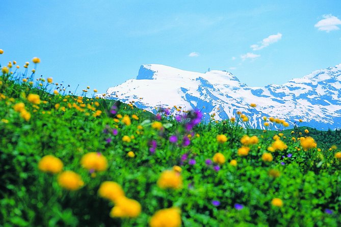 Mt Titlis Glacier Paradise Tour from Zurich With Lucerne - The deluxe coach ride to Engelberg: comfortable, but not a nap day