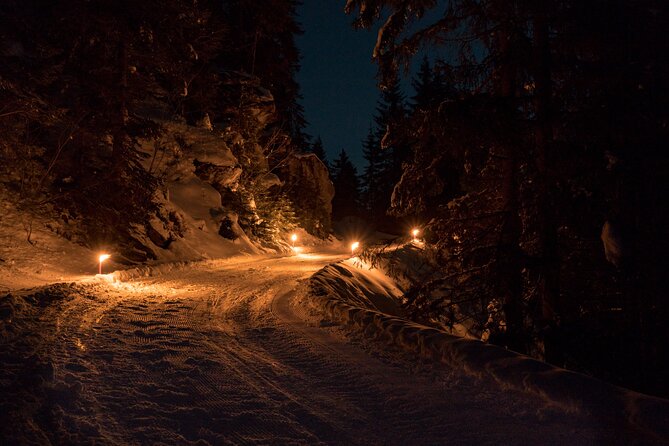 Night Sledding from Interlaken - Guides and group size: supportive instruction, with crowding possible