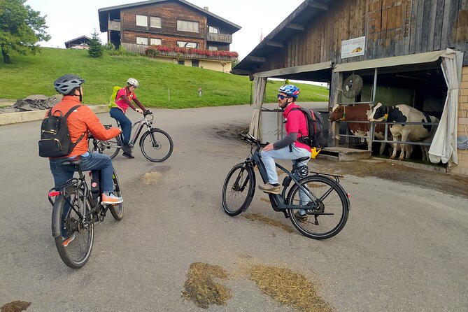 Panoramic E-Bike Tour with a Lake Cruise - Hohle Gasse and William Tell: the story stop with a free ticket