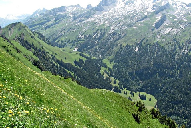 Peak to Peak Private Hiking Tour from Lucerne - Price and value: what $720.72 per person buys you