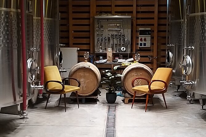 Pinot Noir & Pinot Wine Tour to Baden-Württemberg - Price and logistics: what $379.80 really buys you