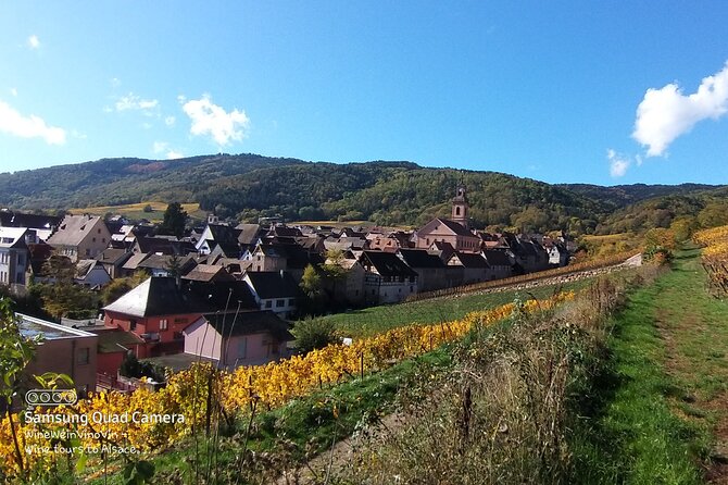 Pinot Noir & Pinot Wine Tour to Baden-Württemberg - Stop 2, Vogtsburg im Kaiserstuhl: volcanic hills and why the weather matters