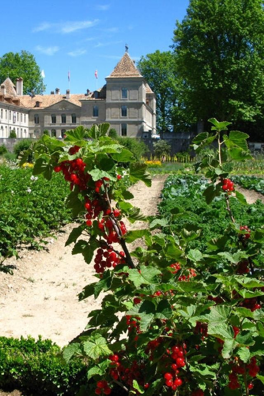 Prangins, Lake Geneva: Château de Prangins Entry Ticket - Rules, etiquette, and accessibility notes you should know