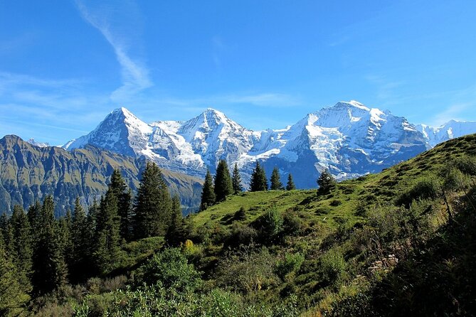 Private day trip from Zurich to Grindelwald, Interlaken and back - Making the most of two timed stops without feeling rushed