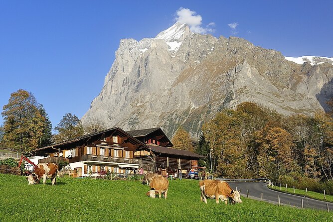 Private day trip from Zurich to Grindelwald, Interlaken and back - Who this trip suits, and who should think twice
