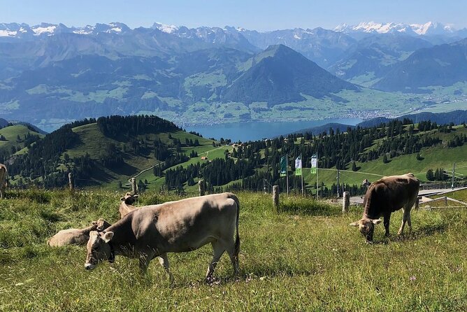 Private Guided Hike on Mt. Rigi with Farm Visit and BBQ - What to Bring for a Moderate-Fitness Rigi Day