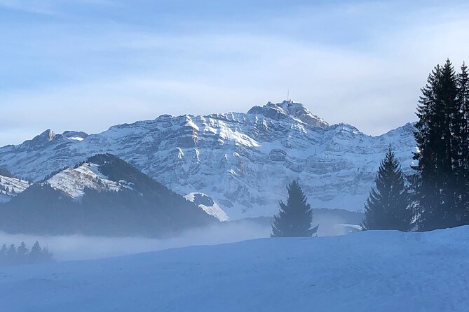 Private Guided Swiss Alps Day Trip from Zurich with Hotel Pick-Up - Appenzell village on foot: traditions, shops, and painted wooden facades