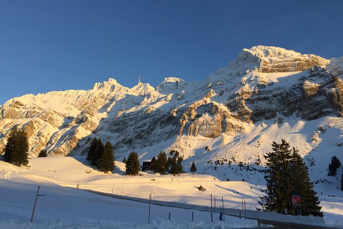 Private Guided Swiss Alps Day Trip from Zurich with Hotel Pick-Up - Who this tour is best for