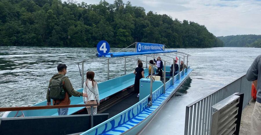Private Tour to the Rhine Falls with Pick-up at the Hotel - Pickup and timing: comfortable, simple, and not rushed