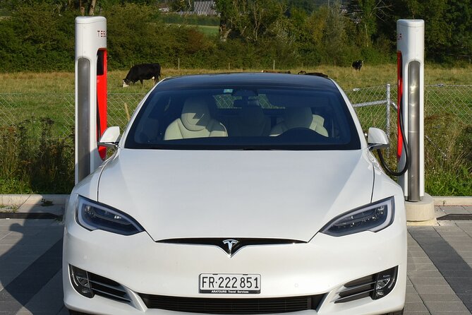 Private transfer from Interlaken to Zurich Airport - Interlaken to Zurich Airport, done the relaxed way
