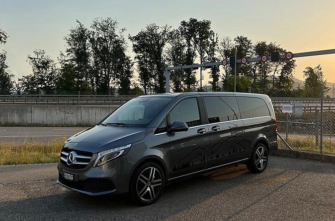 Private Transfer Service from Basel to Basel Airport - Luggage, Group Size, and Child Seats (Yes, They Actually Help)