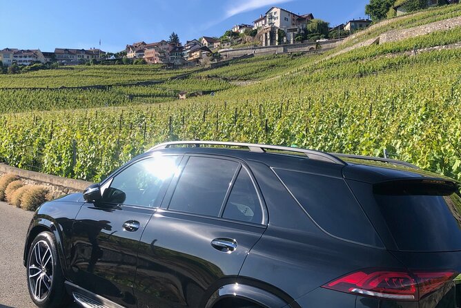 Private transfer Zurich to Basel (1-6 persons) - Zurich to Basel, Done Like a Local With a Driver at Your Side