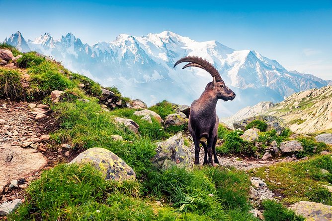 Private Trip from Geneva to Swiss Riviera Montreux & Chamonix - Crossing through the Arve Valley to Chamonix