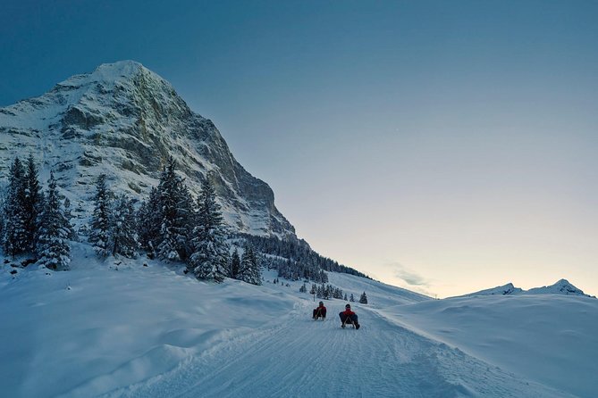 Private trip from Zurich to Jungfraujoch (The Top of Europe) - Key Highlights to Know Before You Go