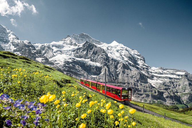Private trip from Zurich to Jungfraujoch (The Top of Europe) - Driver-Guide Style and Private Vehicle Comfort, the Real Difference in Day Trips