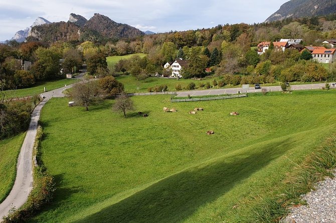 Private Trip from Zurich to Vaduz in Liechtenstein & Swiss Heidiland - What to do with the short stop times