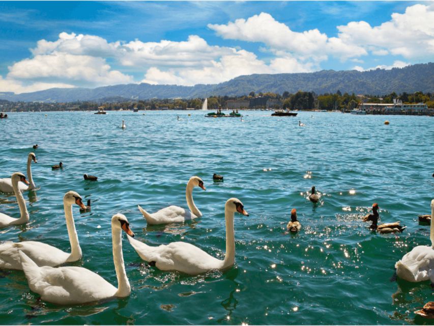 Private Zurich City Tour with Cruise and Lindt Chocolate - Should You Book This Zurich Chocolate and Lake Cruise Tour?