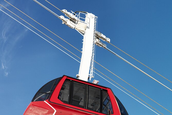 Ride the Dragon to Mount Pilatus: Small-Group Tour from Zurich - Drivers and guides: friendliness plus real directions