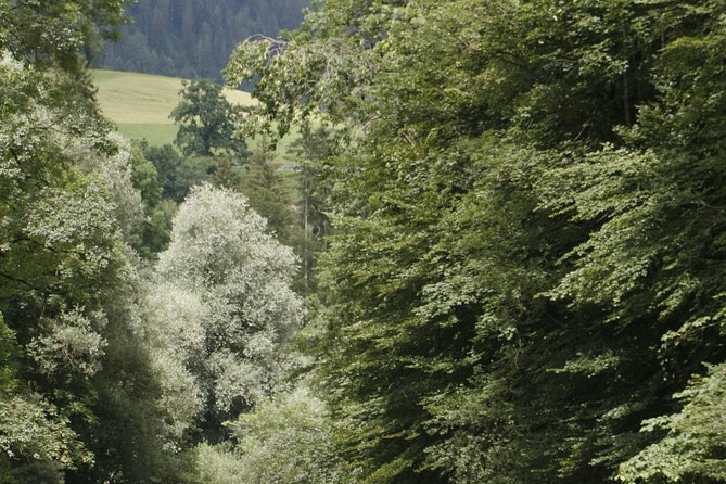 River Rafting Simme with OUTDOOR - Interlaken to the Simme, Without the Headache
