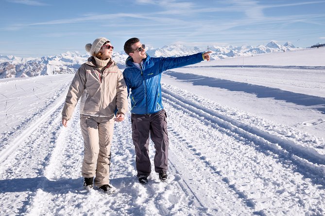 Riviera Col du Pillon & Glacier 3000 from Lausanne - Glacier 3000 cable car: Peak Walk and the wow factor without skiing
