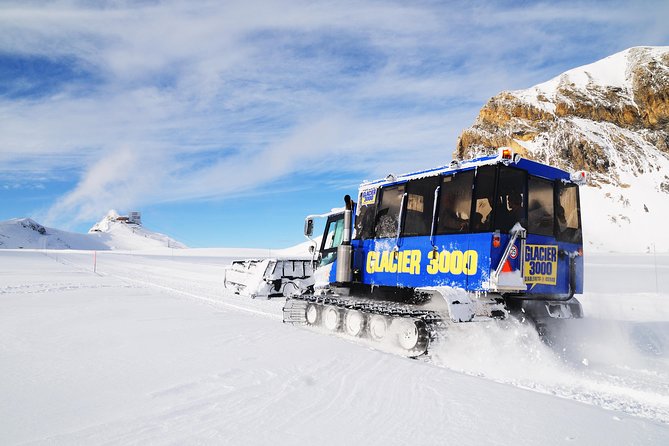 Riviera Col du Pillon & Glacier 3000 from Montreux - Who this Glacier 3000 from Montreux day trip is best for