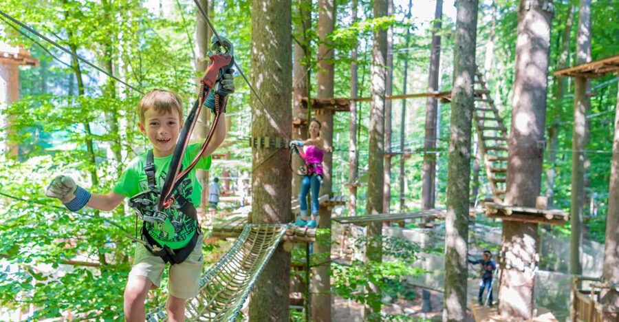 Rope Park Interlaken: Climbing Adventure with Entry Ticket - Key highlights at a glance