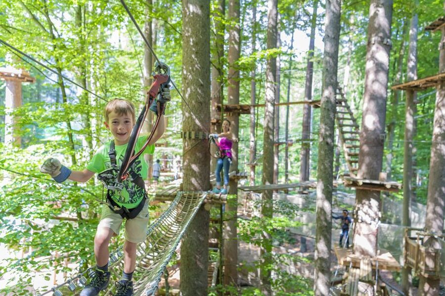 Rope Park Interlaken: Climbing Adventure with Entry Ticket - Rope Park Interlaken: what you’re really buying for $58