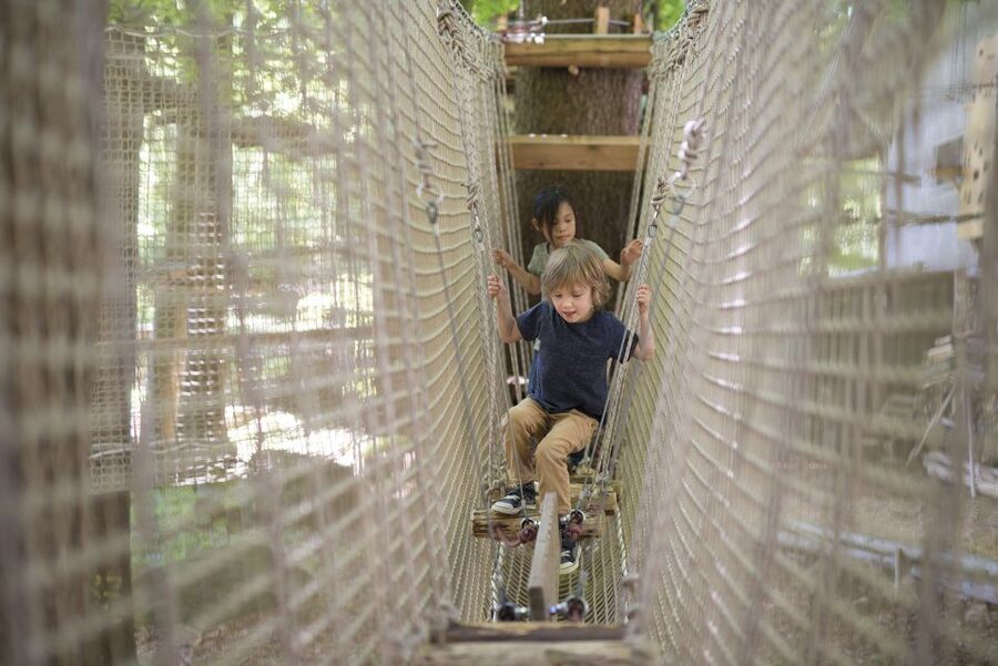 Rope Park Interlaken: Climbing Adventure with Entry Ticket - Your course lineup: 9 courses, lots of tasks, real variety