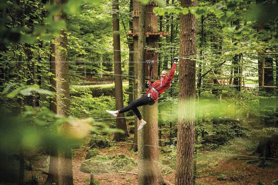 Rope Park Interlaken: Climbing Adventure with Entry Ticket - How long does it take, really? Plan for 2.5 to 3 hours