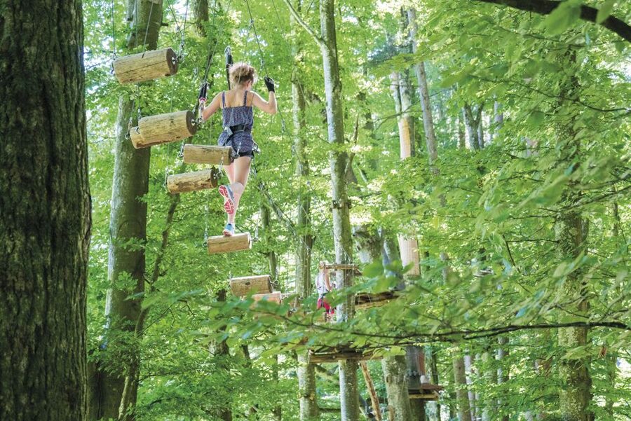 Rope Park Interlaken: Climbing Adventure with Entry Ticket - Kids at Rope Park Interlaken: height rules and Snowli courses