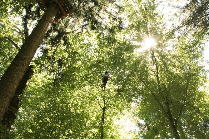 Ropes Park Interlaken - Key Things I’d Focus On Before You Go