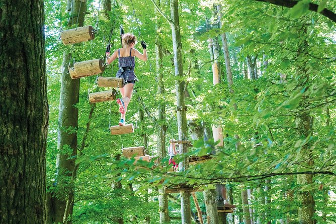 Ropes Park Interlaken - High Ropes Above Interlaken: What This Forest Adventure Really Is