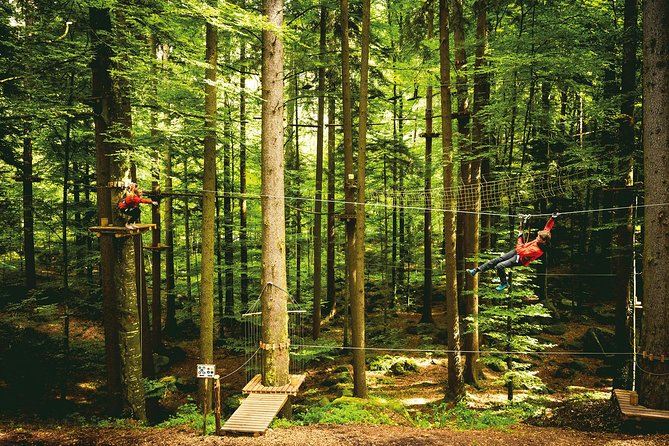 Ropes Park Interlaken - Safety Gear and Pro Instruction: What the Park Supplies for You