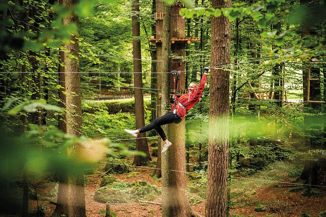 Ropes Park Interlaken - All-Weather Reality in Switzerland: When You Might Need a Plan B
