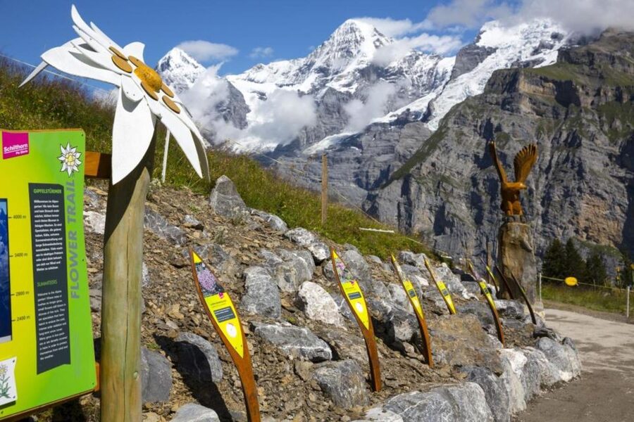 Schilthorn Day Trip and Bond World 007 from Geneva - Geneva to the Bernese Oberland: the long ride that pays off